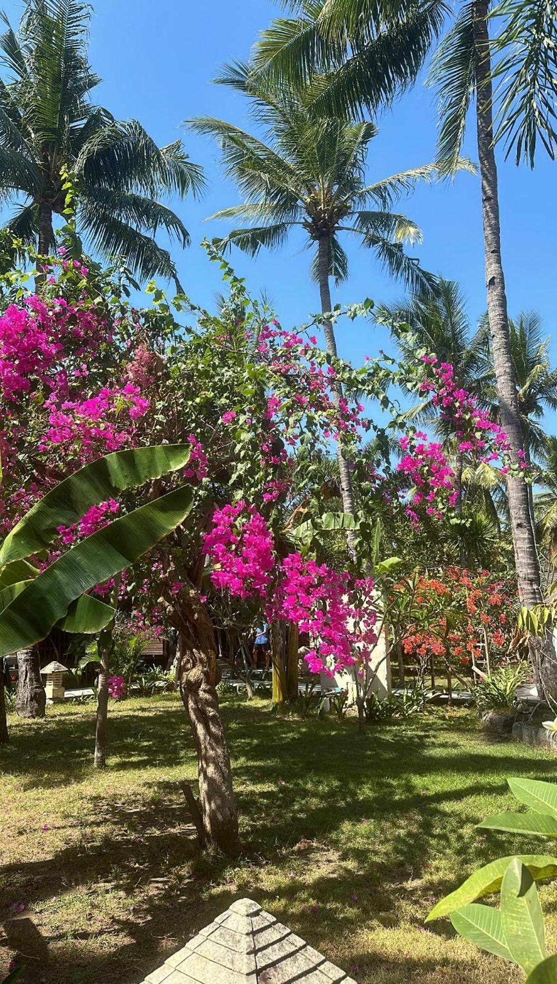 Trawangan Oasis Hotel Gili Trawangan Kültér fotó